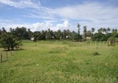 1/4 Acre for sale second row from the main road Mtwapa