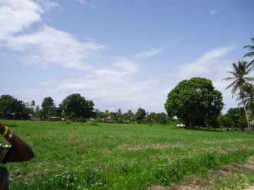 3 acre farm kikambala