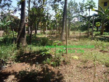1/4 of an Acre for sale,Mkomani
