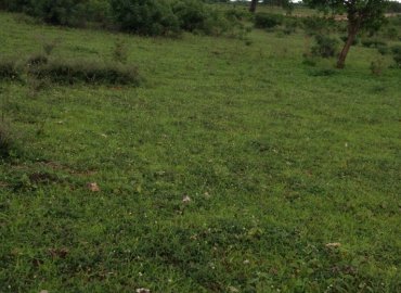 1/4 Acres for sale in Vipingo