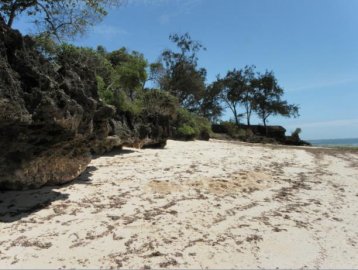 3 Acre Beach plot for sale in Kuruwitu Vipingo