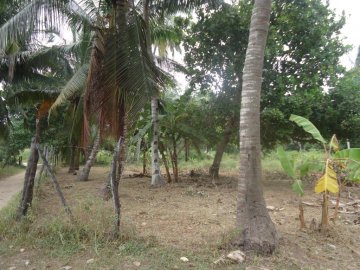 14 Acres of Land in Kikambala for sale