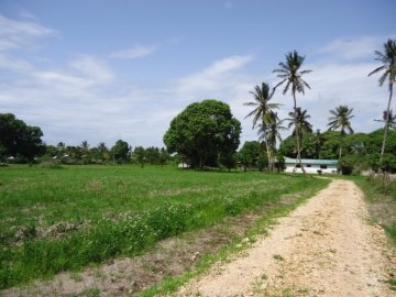 3 acre farm kikambala