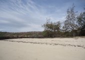 1/2 Acre Sandy beach plot near paradise