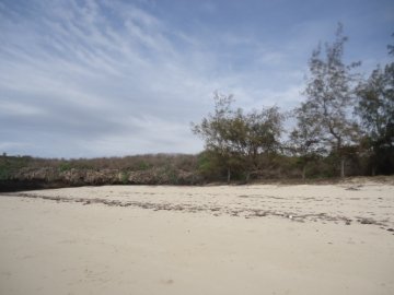 1/2 Acre Sandy beach plot near paradise