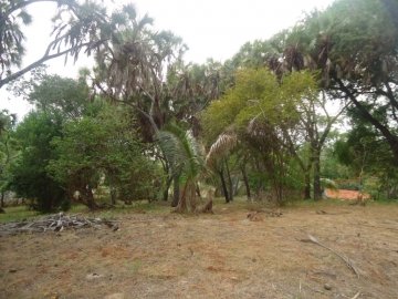 2 Acre plot for sale second row from the beach,Nyali