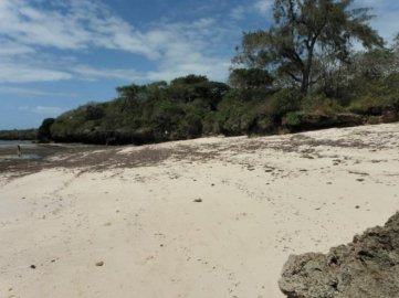 3 Acre Beach plot for sale in Kuruwitu Vipingo