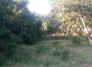 2 Acres Plot For Sale Nyali