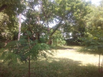 Yard For Rent IN Nyali