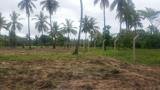2 Acres Fenced land  For Sale in Kikambala