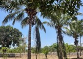 1.5 Acres Farmland to Let In Kikambala