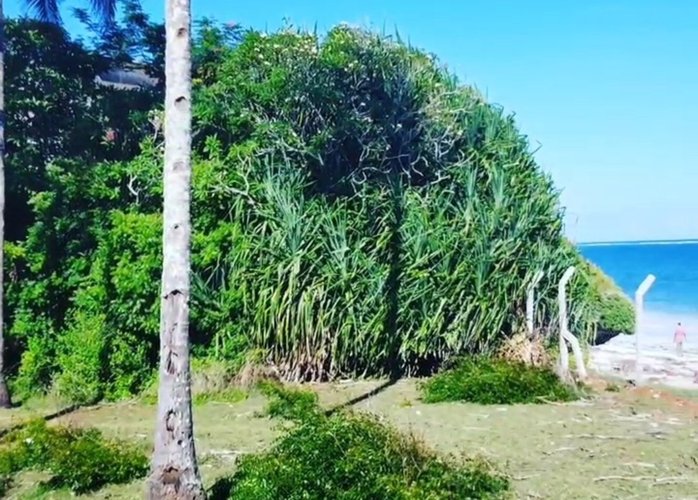 2Acres Beach Front For Sale In Shanzu