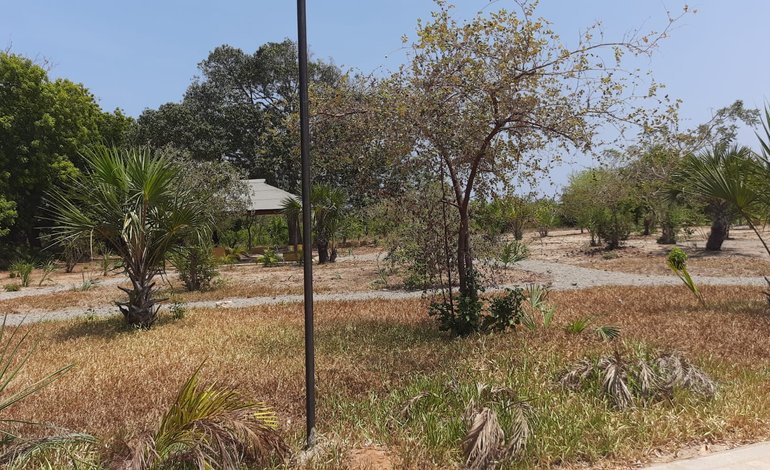 1/4 and 1/2 acre plots for sale in Vipingo Kuruwitu