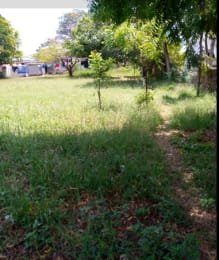 1/4 Beach Plot For Sale in Nyali