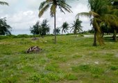 1/4 Beach Plot For Sale in Nyali